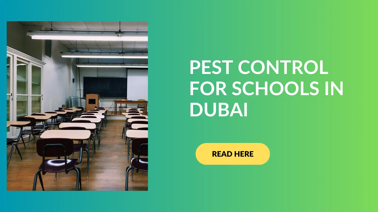 Photo inspiration: School Pest Prevention Reference: Pest Control For Schools In Dubai